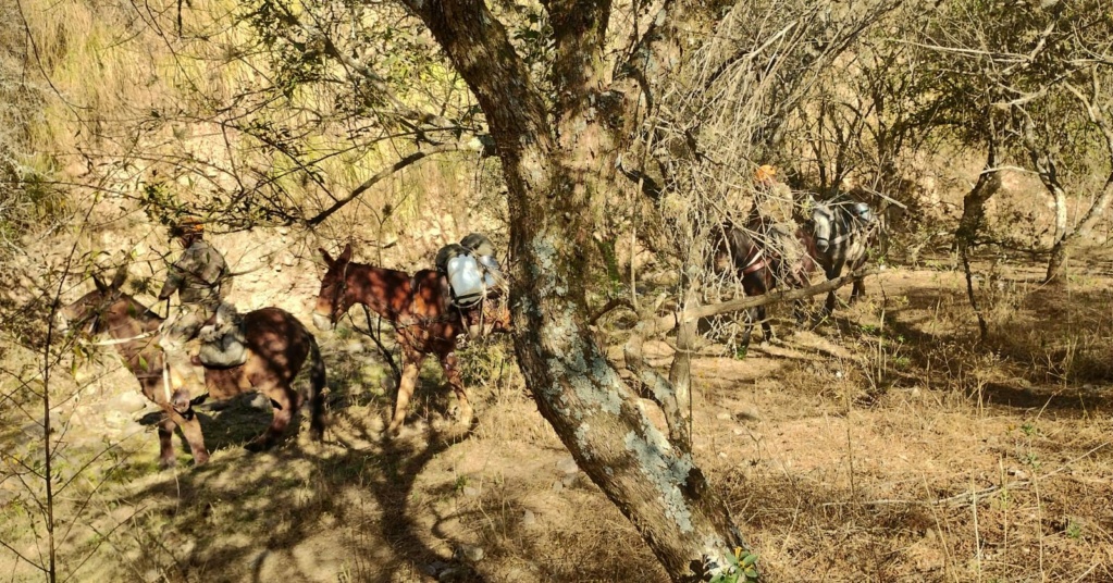 EJERCICIOS DEL EJERCITO ARGENTINO - Página 20 Jujuy110