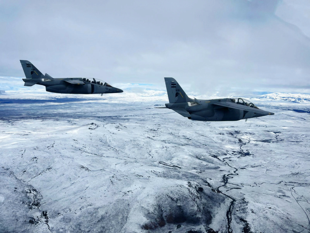 Novedades en la Fuerza Aérea Argentina - Página 21 Pampa11