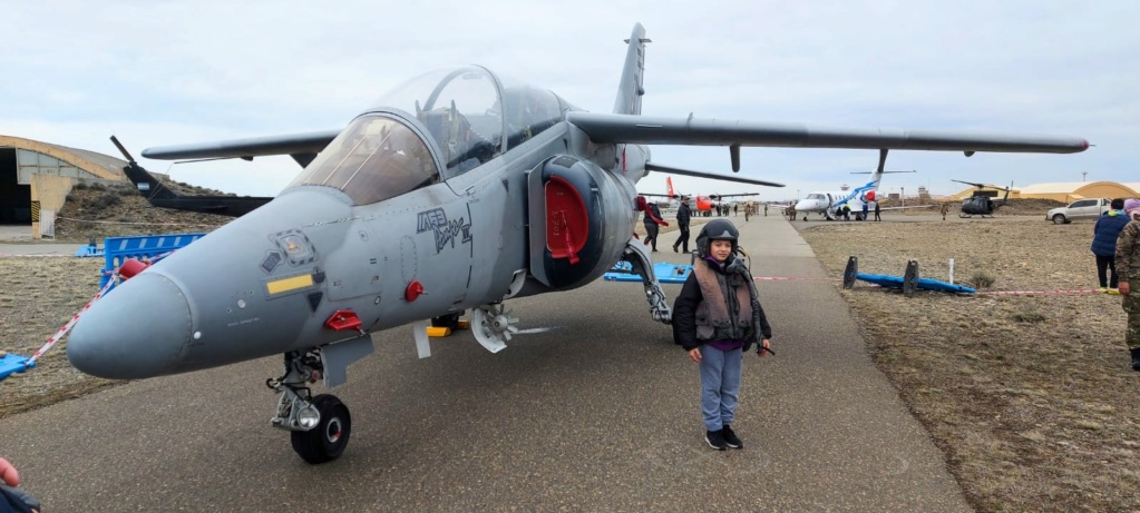 Novedades en la Fuerza Aérea Argentina - Página 38 Patago25