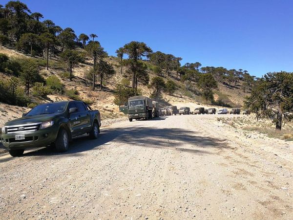 EJERCICIOS DEL EJERCITO ARGENTINO - Página 9 Rim610