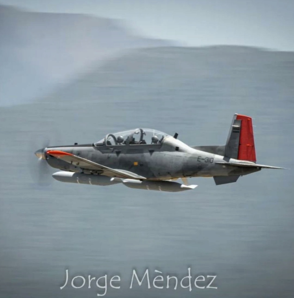 Novedades en la Fuerza Aérea Argentina - Página 40 Texan11