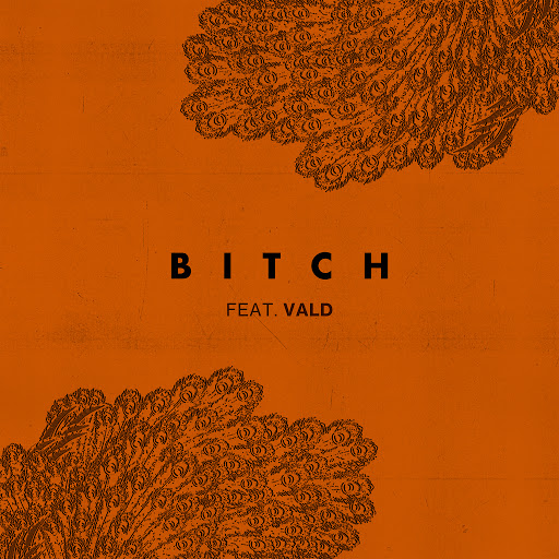 Lefa-Bitch_(Feat_Vald)-SINGLE-WEB-FR-2019-OND 00-lef10