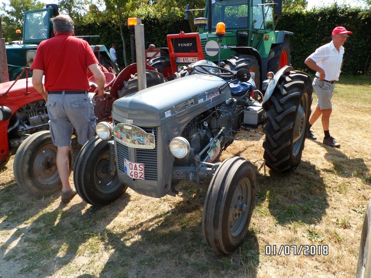 * "Les Tracteurs anciens (agricole)" Sam_4720