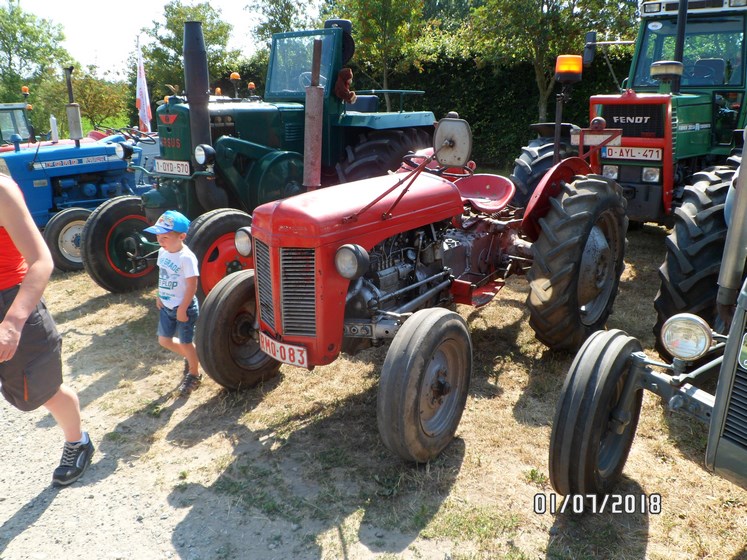 * "Les Tracteurs anciens (agricole)" Sam_4721