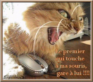 C Est Lundi Chat Va Quand Meme Marie Des Vignes C Est Lundi Chat Va Quand Meme Marie Des Vignes