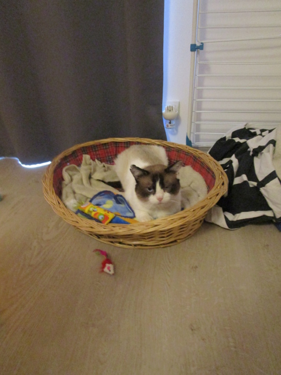 CELESTIN Img_5655