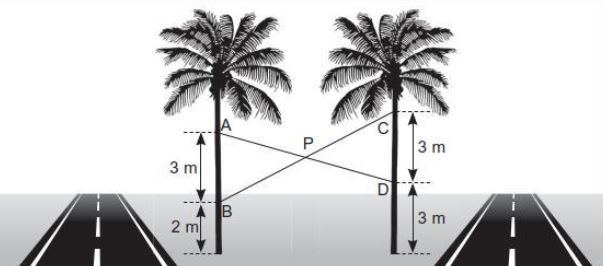 Geometria Plana Captur33