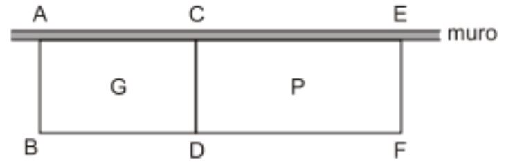 Geometria Plana Captur36