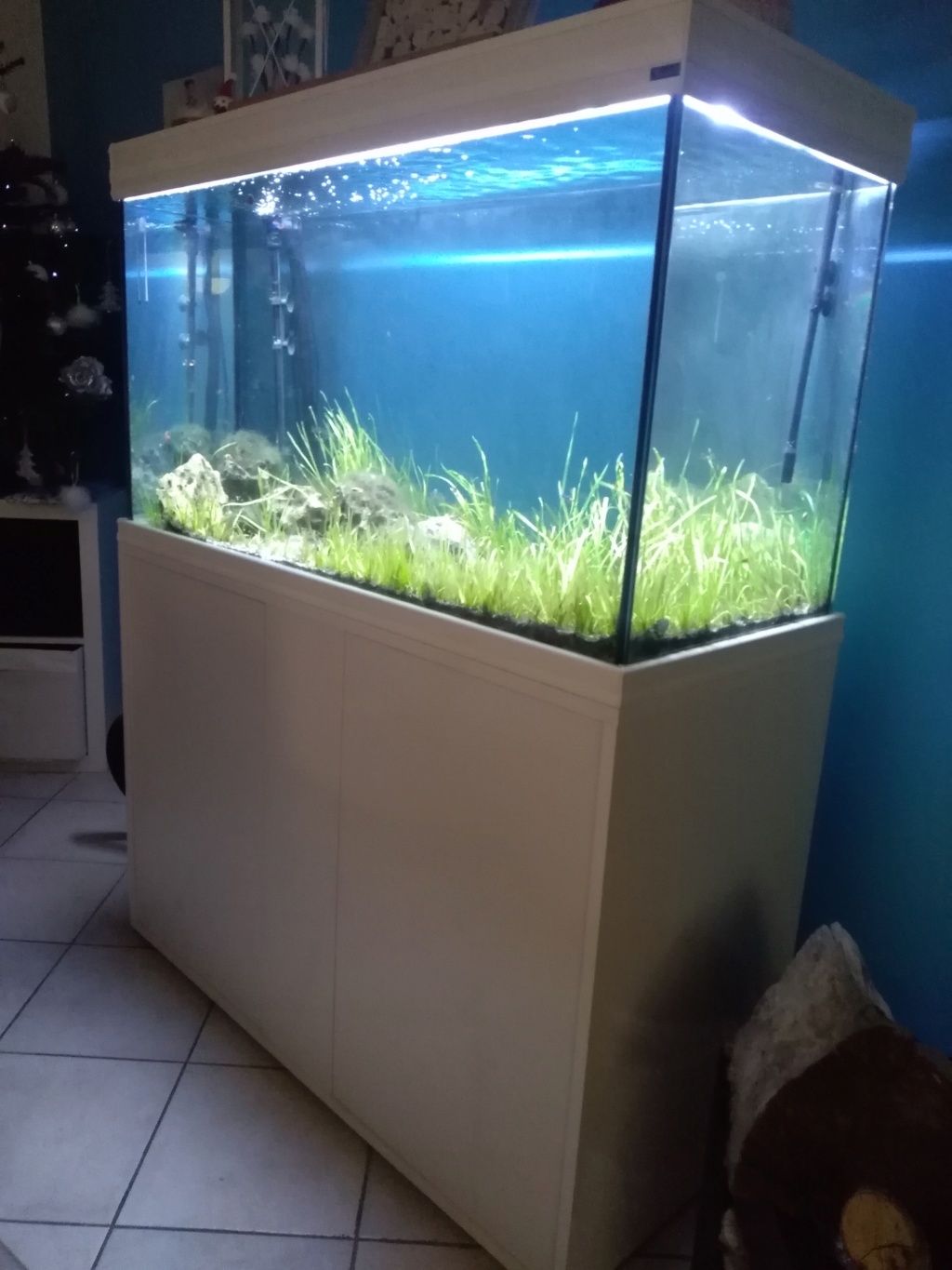 [vends] Aquarium 420 litres [62] Img_2011