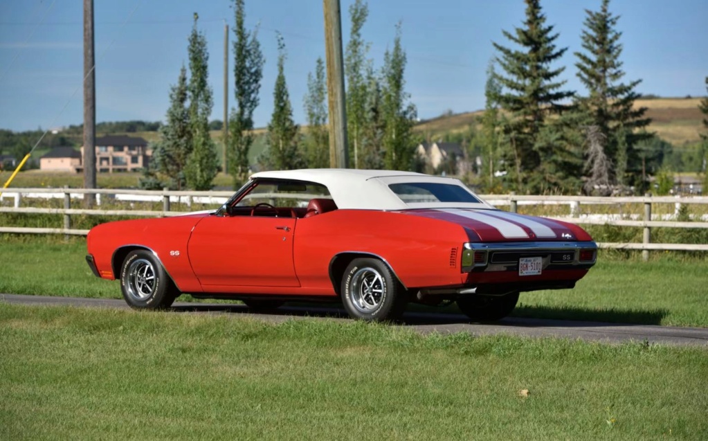 AMC....Muscle car - Page 9 3100