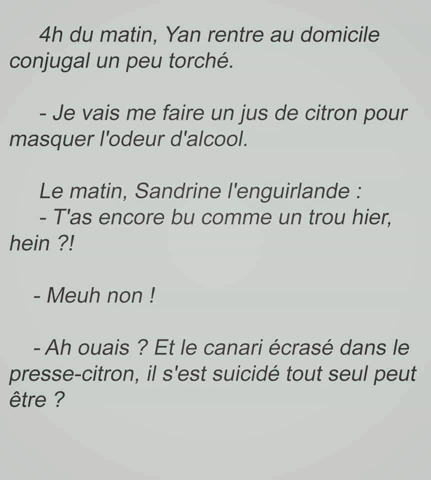 HUMOUR EN VRAC - Page 16 Y_42710