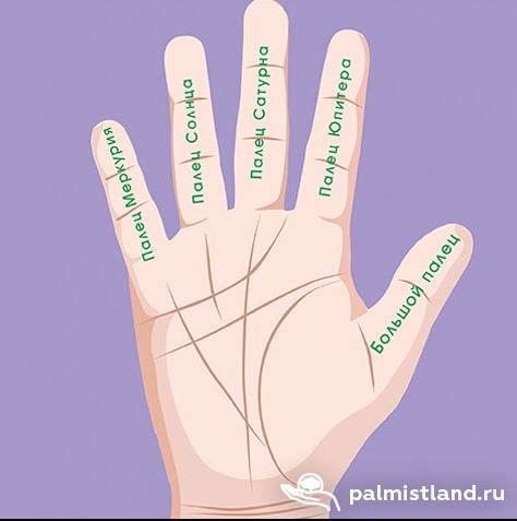 Пальцы рук и их особенности 1127