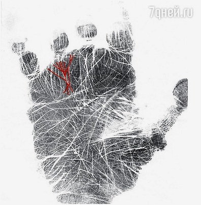 АДРЕС ПРОГРАММИСТА (О знаке дерева на руках, указывающем на долгожительство) 295