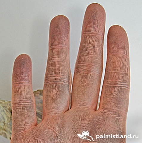 Пальцы рук и их особенности 620
