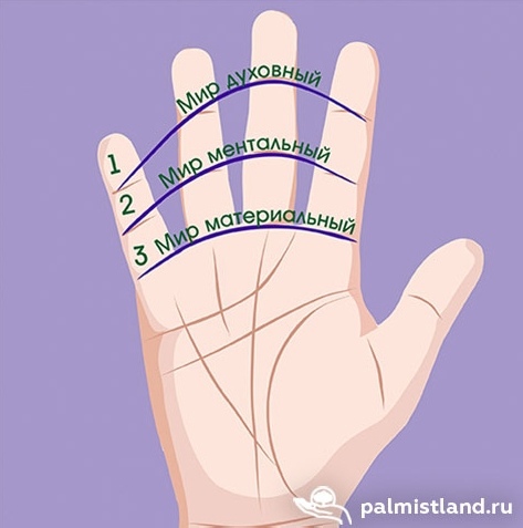 Пальцы рук и их особенности 818