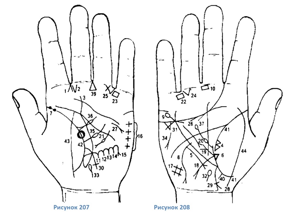 Хиромантия: теория. ДЕРМАТОГЛИФИЧЕСКИЕ ЛИНИИ И ЗНАКИ НА ЛАДОНИ И ИХ ЗНАЧЕНИЕ. B6s12s10