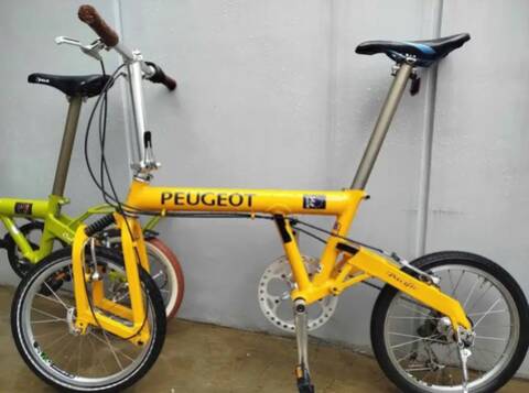 Peugeot by Birdy