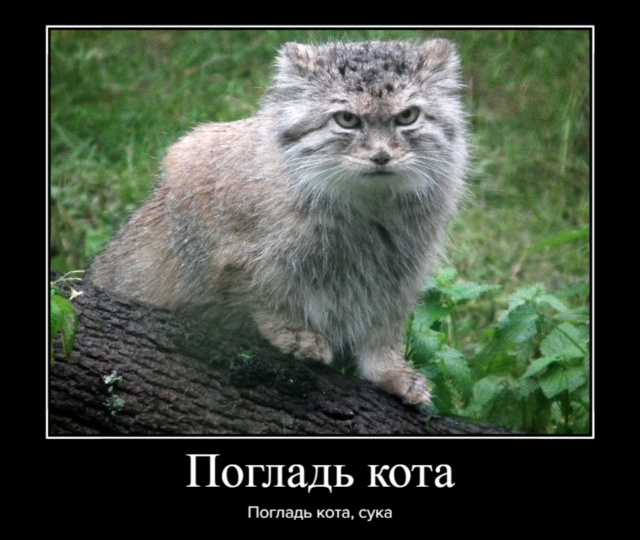 Эзотерики шутят - Страница 11 A13