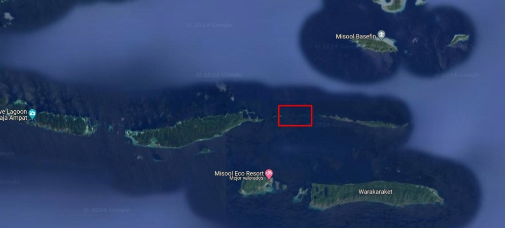 Raja Ampat 2023 (Misool, Pulau Kri and West Waigeo) Screen40