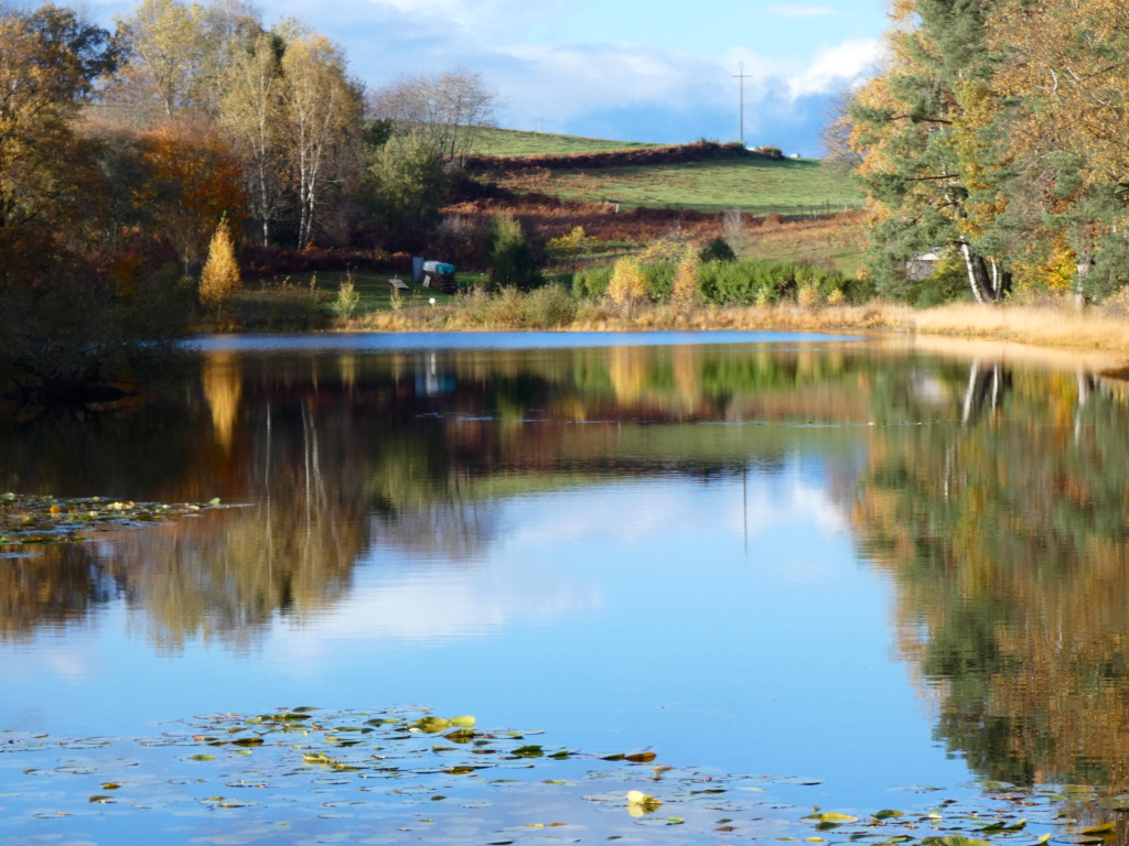 Couleurs d'automne A_f8-110