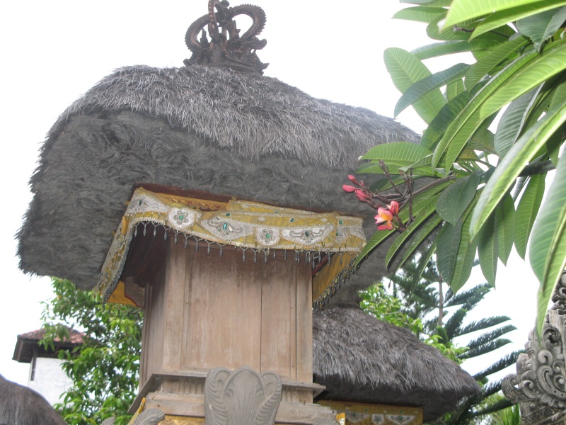 Bali Bali_239