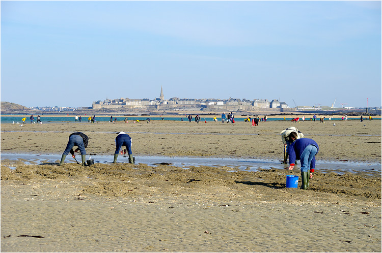 pêche à pied à Dinard Grande11