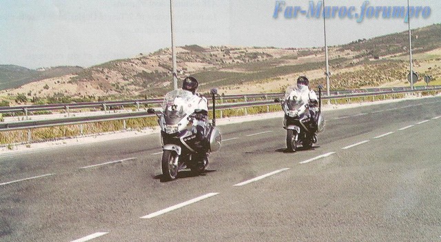  الدرك الملكي المغربي(Motorcycles) Dcsdqs10