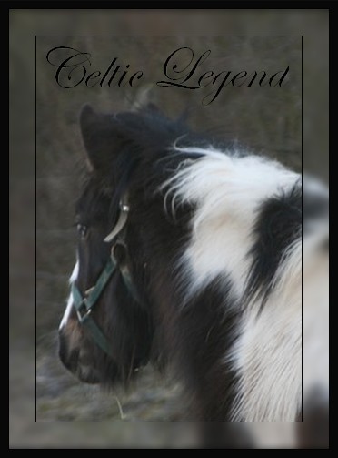 Celtic Legend "Gypsy de Lorraine" News P 2 Celtic10