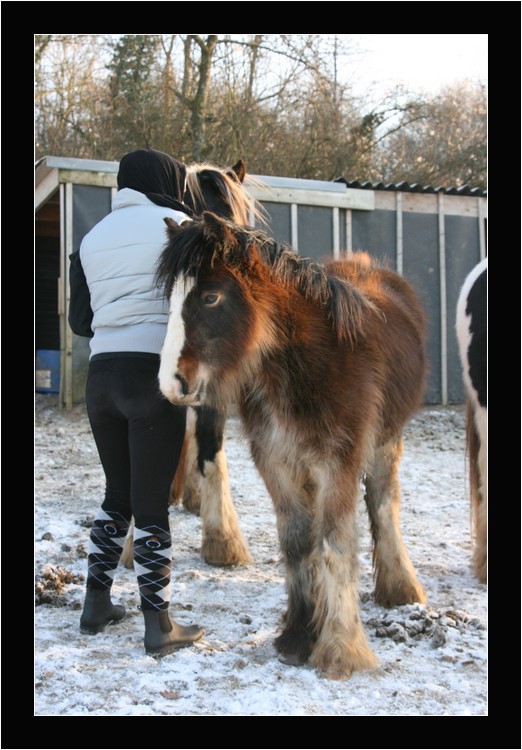 Uleen en manteau d'hiver Nouvea15