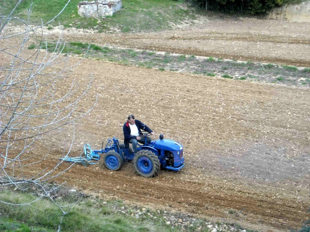 Bientôt les patates ! Rt_41210