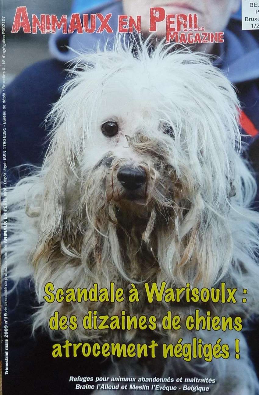 Ciney, salon du chien. 10_jui17