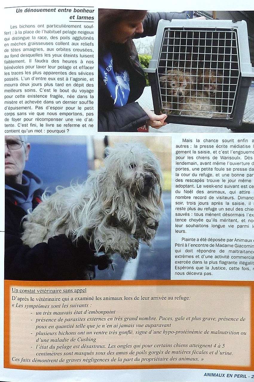 Ciney, salon du chien. 10_jui21