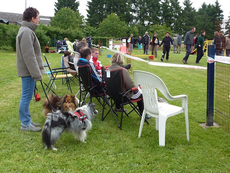 A Beauraing,(Feschaux) agility 6 juin 09. Agilit20