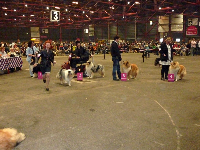 Une magnifique ballade Pâques 2009: LEEUWARDEN aux Pays-Bas. avec photos d'expo Leeuw110