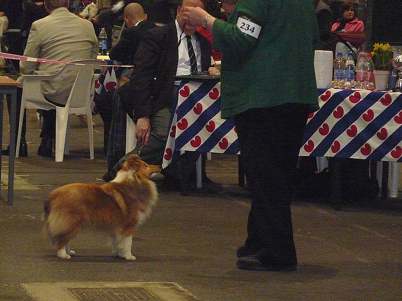 Une magnifique ballade Pâques 2009: LEEUWARDEN aux Pays-Bas. avec photos d'expo Leeuw115