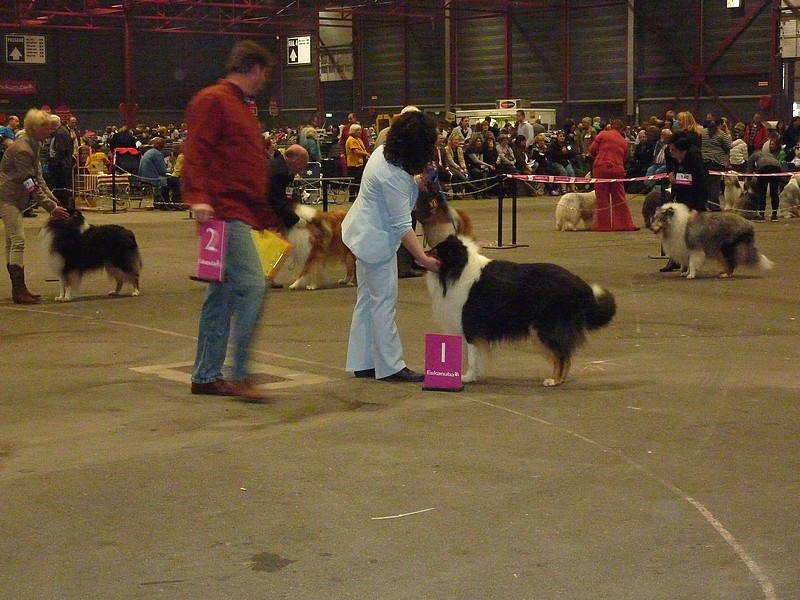 Une magnifique ballade Pâques 2009: LEEUWARDEN aux Pays-Bas. avec photos d'expo Leeuwa53