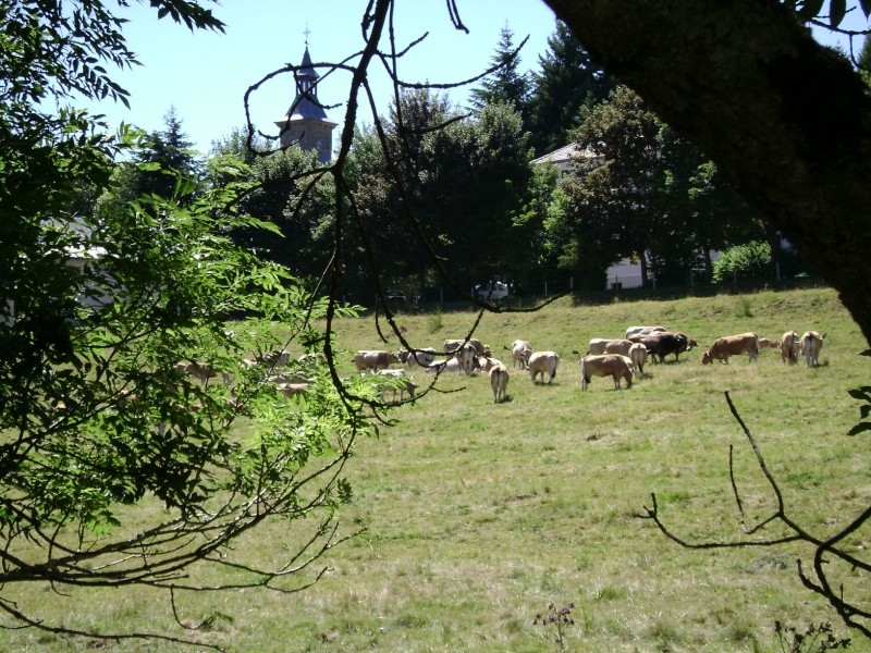 Notre dame des neiges - La Bastide - Lozère Dsc01010