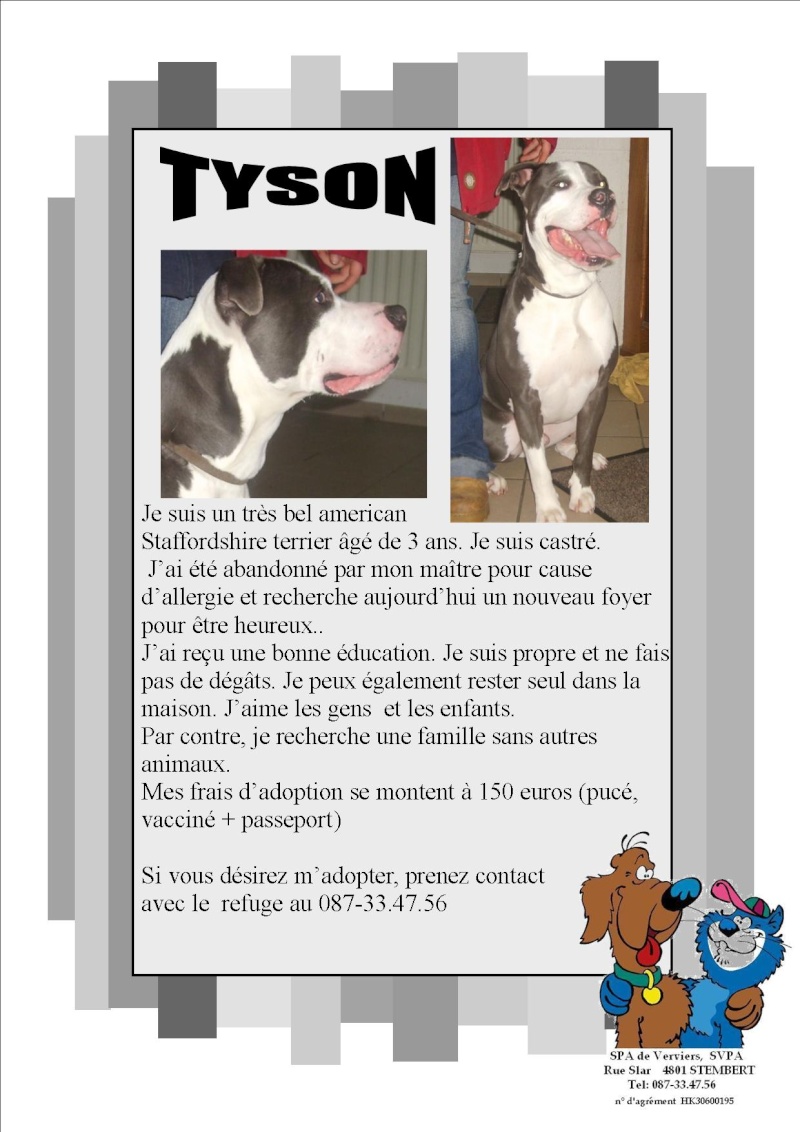 TYSON, AMERICAN STAFF Tyson_10