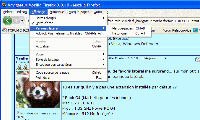 Navigateur Mozilla Firefox 3.0.10 Pannea10