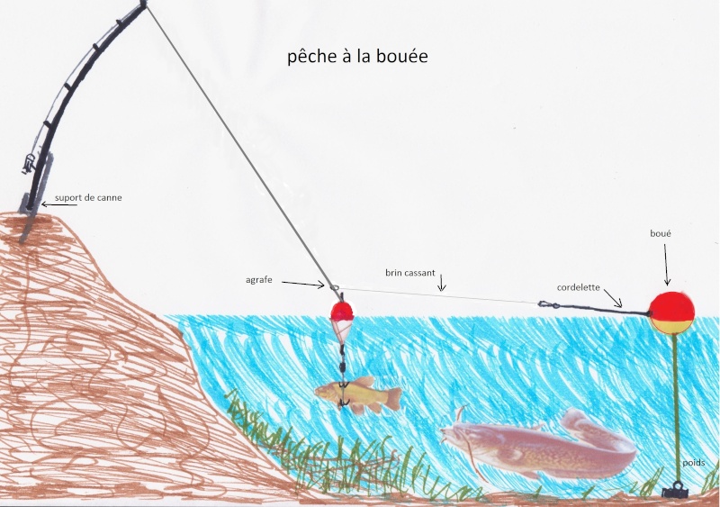 le silure a la bouée Image10