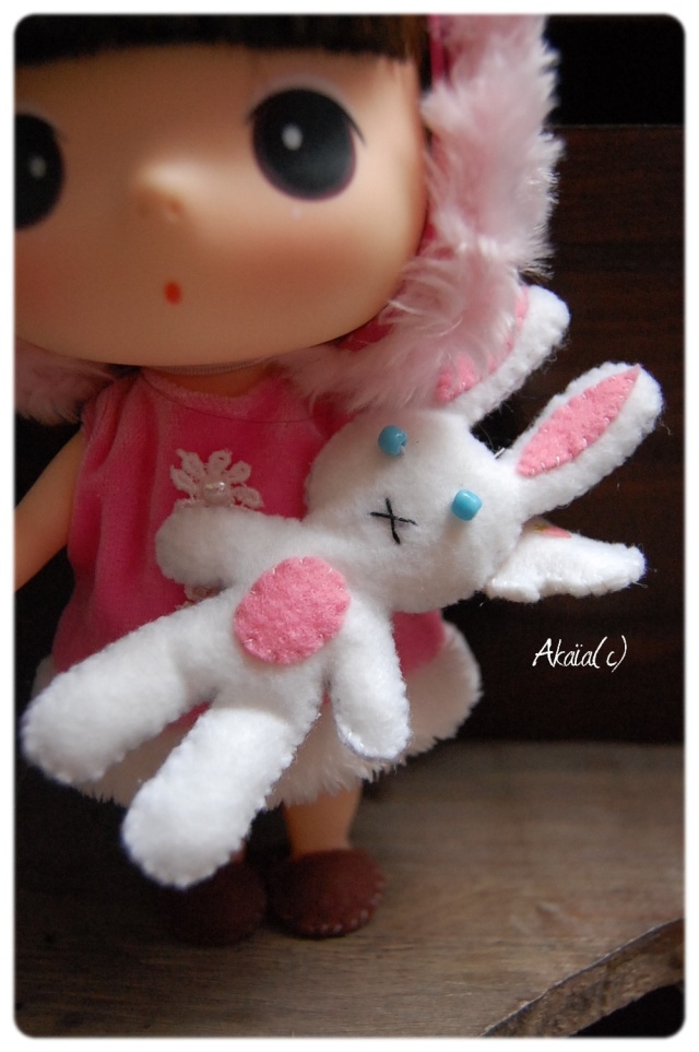 [Ddung Winter Pink Rabbit] Ponyo le poisson rouge lapin Dsc_4311