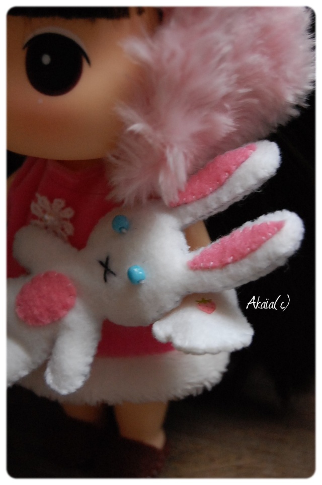 [Ddung Winter Pink Rabbit] Ponyo le poisson rouge lapin Dsc_4314