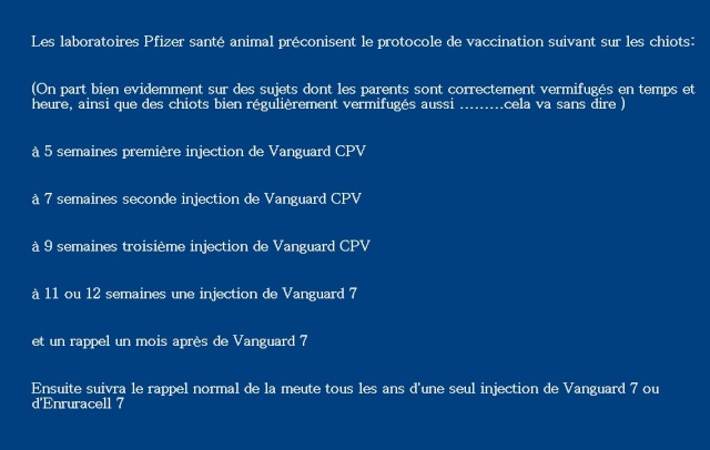 Protocole de Vaccination Vaccin11