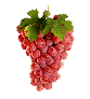 Raisin d'OR Raisin d'OR