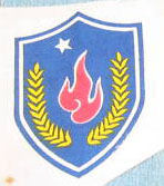 Another unknown ARVN patch; blue with red flame Unknow10