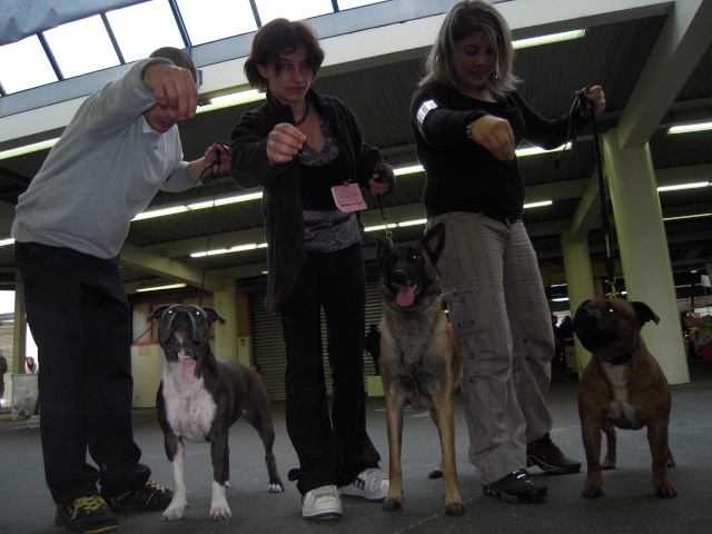 Expo de Pau 26 avril 2009 - Page 6 Dscn3415