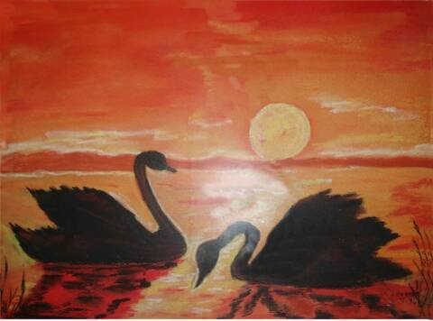 Coucher De Soleil Sur Des Cygnes Pastel Sec