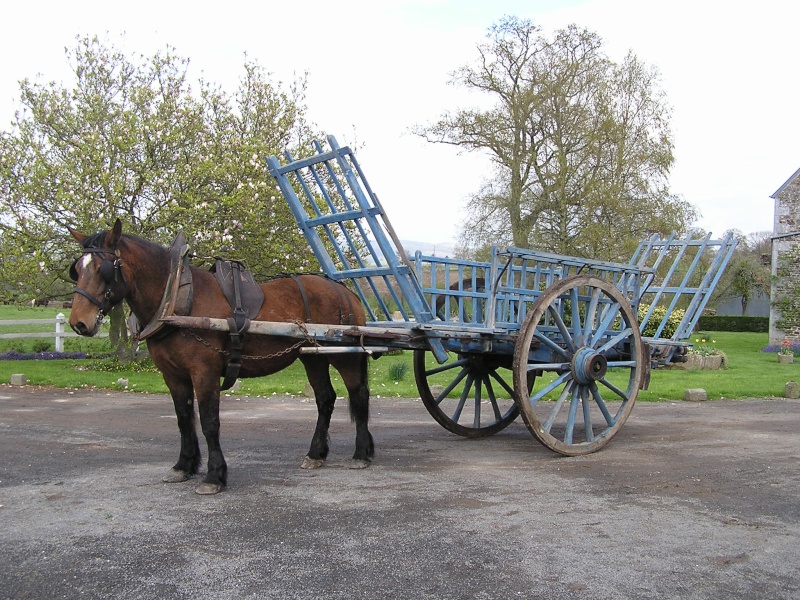 Antique Horse drawn Hay cart in good working order -  Dept 50 Cd-che11