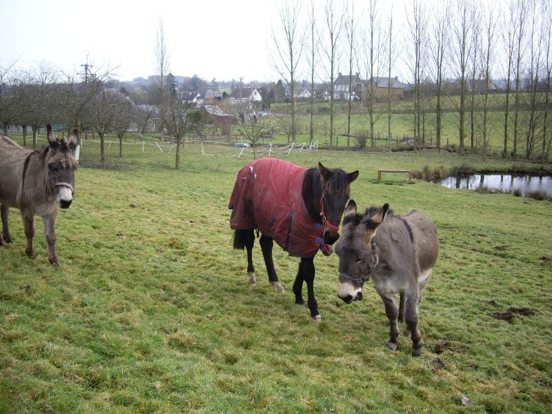 Udane happily rehomed with J& E in Dept 50 Imgp4710