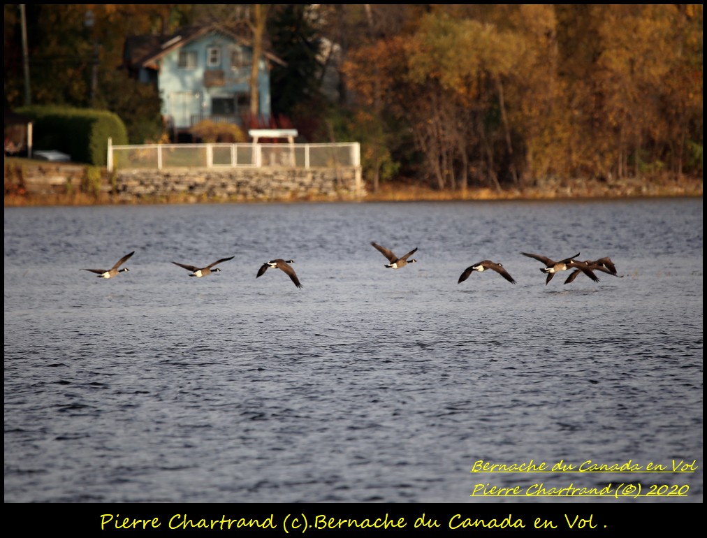 Parc Armand Bombardier . Bernac97